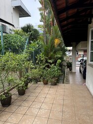 Coral Park (D20), Semi-Detached #489635681